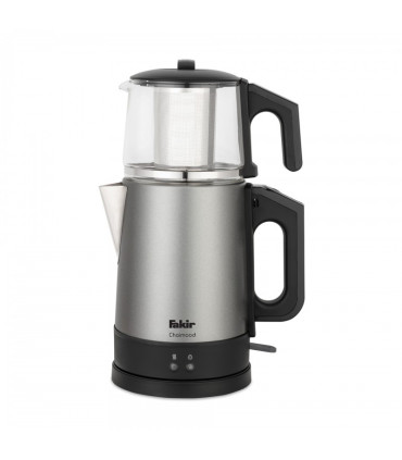 چایساز فکر مدل Chaimood